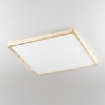 Потолочный светильник Citilux Бейсик CL738K502V