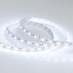 Светодиодная лента Arlight RT-B60-10mm 12V Cool 8K (14.4 W/m, IP20, 5060, 5m) 013341(2)