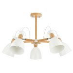 Потолочный светильник EVOLUCE BALCAMO SLE103802-05