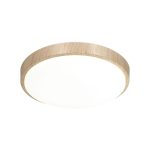 Настенно-потолочный светильник Sonex Losta 7607/AL