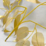 Подвесная люстра Lussole LGO IDAHO GRLSP-8999