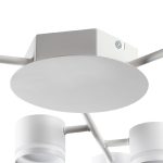 Потолочная люстра Lumion Gareta 8235/9C