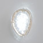 Настенный светильник Crystal Lux FELICIDAD AP9W LED