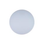 Потолочный светильник Loft IT AXEL 10002/48 White