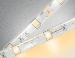 Светодиодная лента Ambrella Light LED Strip 12В 5050 7,2Вт/м 3000K 5м IP65 GS1901