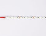 Светодиодная лента Ambrella Light LED Strip 24В 2835 10Вт/м 6500K 5м IP20 GS3103