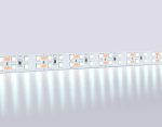 Светодиодная лента двухрядная Ambrella Light LED Strip 24В 2835 20Вт/м 6500K 5м IP20 GS3603