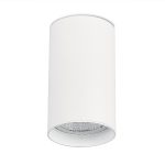 Накладной светильник ST Luce ST157.542.20