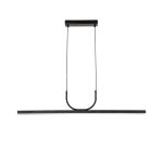 Подвесной светильник Favourite Raya 4096-1P