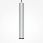 Подвесной светильник Maytoni Pro Focus MOD161PL-01CM1