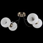 Потолочная люстра Illumico IL0035-4CSQ-79 BK AB