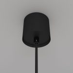 Подвесной светильник Maytoni Luna P039PL-5W3K-10-B