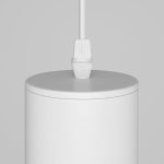 Подвесной светильник Maytoni Technical Focus P075PL-01W