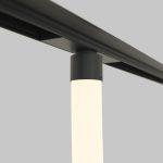 Трековый подвесной светильник Maytoni Tau TR101-2-100W3K-B