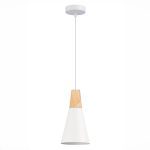 Подвесной светильник Evoluce Modica SLE125153-01