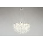 Подвесная люстра Aployt Danusia APL.846.03.10