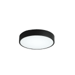 Потолочный светильник Zortes Tortty ZRS.02563.48