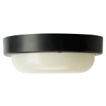 Настенно-потолочный светильник Feron AL3005 51471