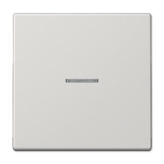 Клавиша 1-ная с линзой Jung LS990 LS990KO5LG