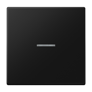 Клавиша 1-ная с линзой Jung LS990 LS990KO5SWM