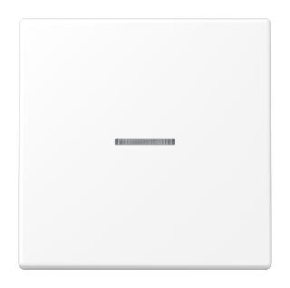 Клавиша 1-ная с линзой Jung LS990 LS990KO5WWM