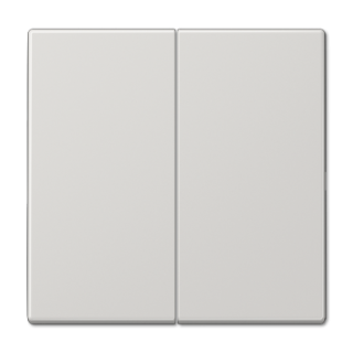 Клавиша 2-ная Jung LS990 LS995LG