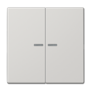 Клавиша 2-ная с 2-мя линзами Jung LS990 LS995KO5LG