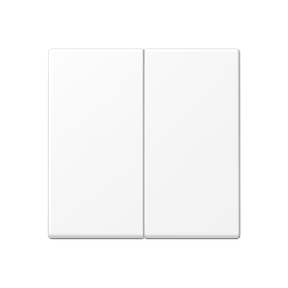 Клавиша для выключателя двухклавишного JUNG EcoProfi EP495WWM