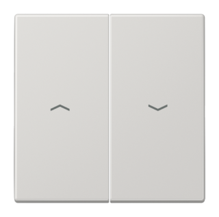 Клавиша для жалюзийного выключателя JUNG LS 990 LS995PLG