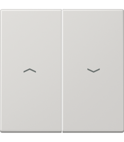 Клавиша для жалюзийного выключателя JUNG LS 990 LS995PLG