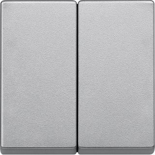 Клавиша двойная Schneider Electric Merten System M MTN433560