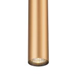 Трековый однофазный светильник Escada 20001TRP/01 BR