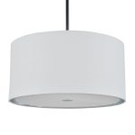 Подвесной светильник Escada Adagio 10186/1S