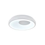 Потолочный светильник Indigo Cratere 14016/1С White V000152L