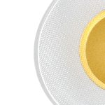 Настенный светильник Indigo Veletta 14029/1W Gold V000165L