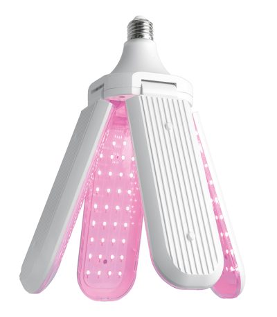 Лампа светодиодная 4-х лепестковая Feron LB-7000 E27 40W красно-синий спектр 48445