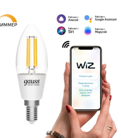 Лампа светодиодная диммируемая филаментная Gauss E14 4,5W 2700K прозрачная 1230112