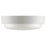 Настенно-потолочный светильник Wolta LCL04-18W-R01-6K