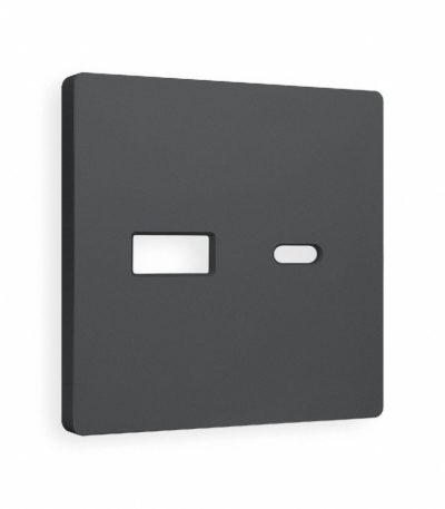 Лицевая панель для розетки 2USB тип A+C Ambrella Volt Alfa AP9110