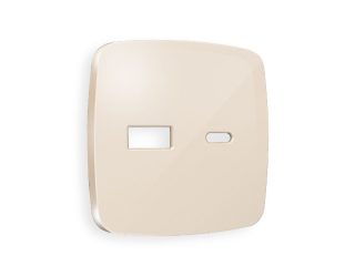 Лицевая панель для розетки 2USB тип A+C Ambrella Volt Omega OP3110