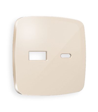 Лицевая панель для розетки 2USB тип A+C Ambrella Volt Omega OP3110