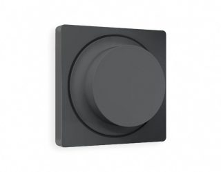 Лицевая панель для светорегулятора универсального Ambrella Volt Alfa AP9055