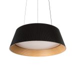 Подвесной светильник Loft IT Evans 10224P Black