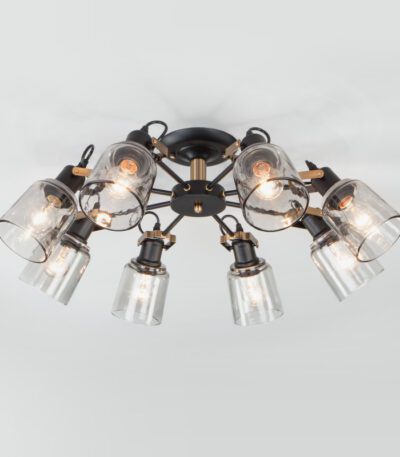 Люстра на штанге Eurosvet 70111/8 черный