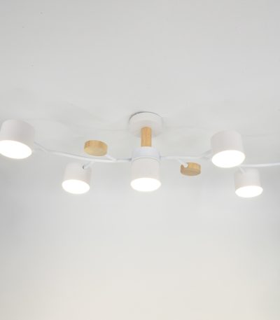 Люстра на штанге General GCHL-5GX53-M 662214