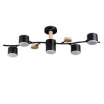 Люстра на штанге Lumion Crypto 8194/5C