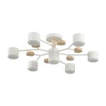 Люстра на штанге Lumion Rondo 8195/7C