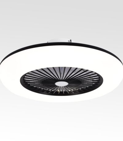 Люстра-вентилятор Lussole Moonlight LSP-7463