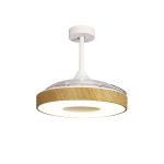 Люстра-вентилятор Mantra Coin 8217