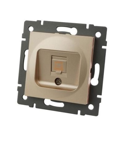 Механизм компьютерной розетки Arlight SCT-MPC1-PL-GD-V (RJ-45, CAT6) 049849